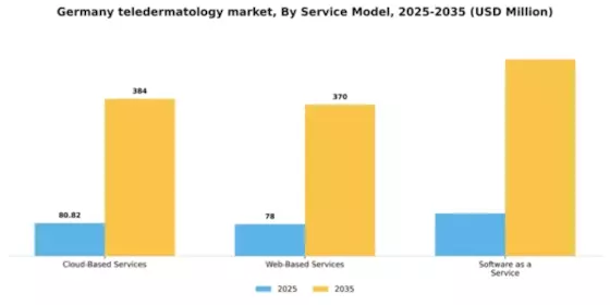 Germany Teledermatology Market Segment Image 2