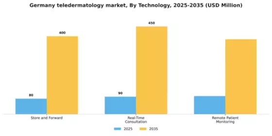 Germany Teledermatology Market Segment Image 3
