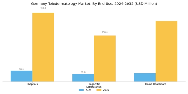 Germany Teledermatology Market Segment Image 1