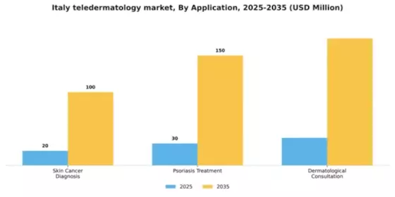 Italy Teledermatology Market Segment Image 0