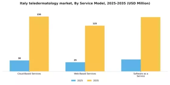 Italy Teledermatology Market Segment Image 2