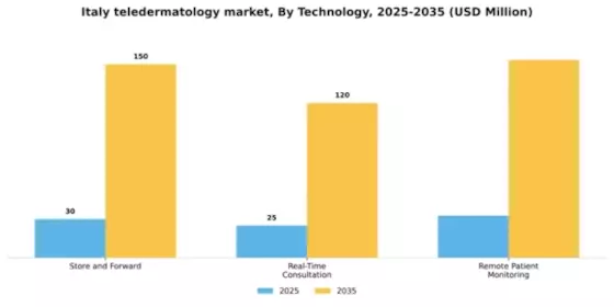 Italy Teledermatology Market Segment Image 3