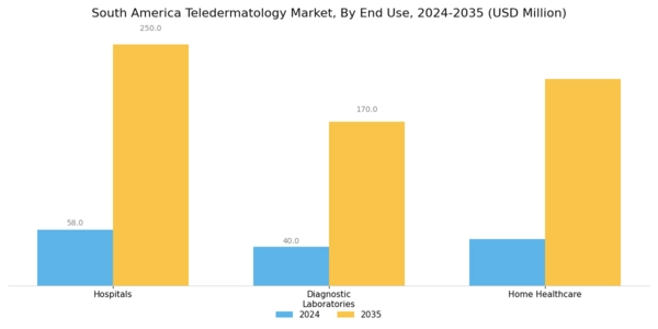 South America Teledermatology Market Segment Image 1