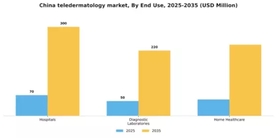 China Teledermatology Market Segment Image 1
