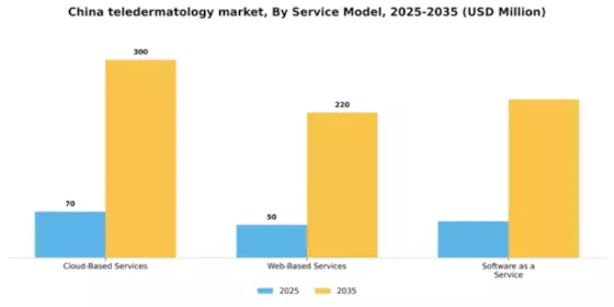 China Teledermatology Market Segment Image 2