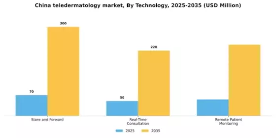 China Teledermatology Market Segment Image 3