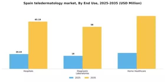 Spain Teledermatology Market Segment Image 1