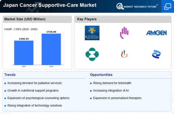 Japan Cancer Supportive Care Market Infographic