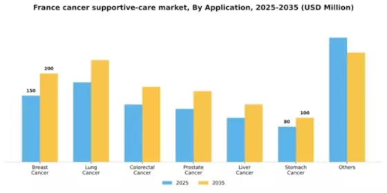 France Cancer Supportive Care Market Segment Image 0