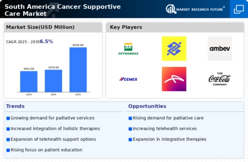 South America Cancer Supportive Care Market Infographic