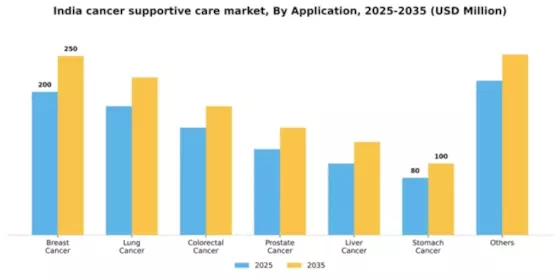India Cancer Supportive Care Market Segment Image 0