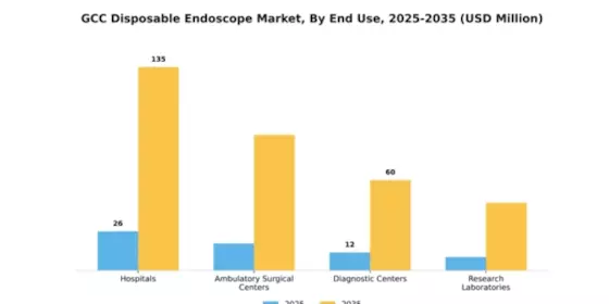 GCC Disposable Endoscope Market Segment Image 1