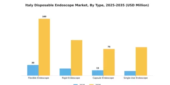 Italy Disposable Endoscope Market Segment Image 4