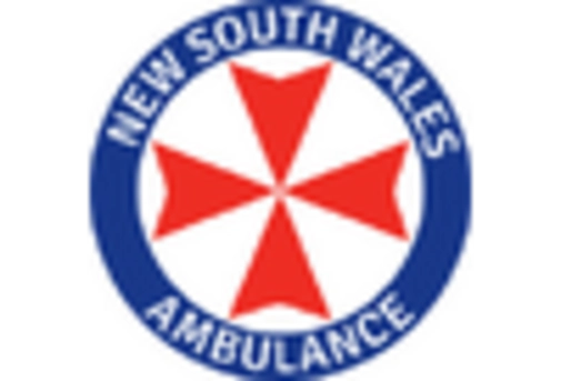 Italy Disposable Endoscope Market key player