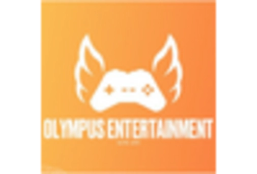 India Disposable Endoscope Market key player