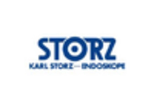 China Disposable Endoscope Market key player