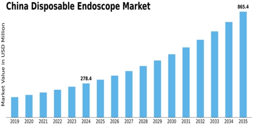 China Disposable Endoscope Market Size