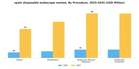 Spain Disposable Endoscope Market Segment Image 2