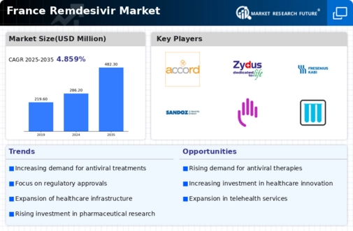 France Remdesivir Market Infographic