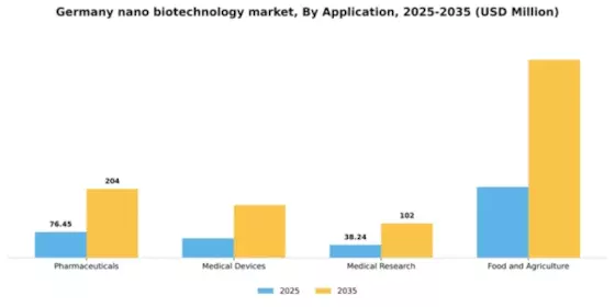 Germany Nano Biotechnology Market Segment Image 0