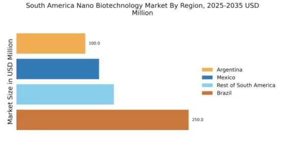 South America Nano Biotechnology Market Regional Image
