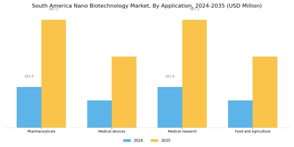 South America Nano Biotechnology Market Segment Image 0