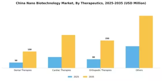 China Nano Biotechnology Market Segment Image 1