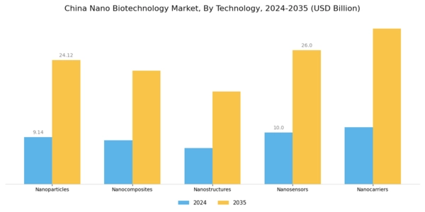 China Nano Biotechnology Market Segment Image 2