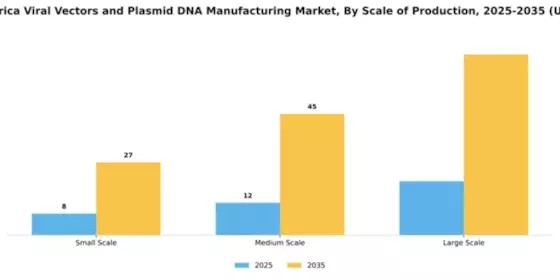 South America Viral Vectors Plasmid DNA Manufacturing Market Segment Image 2