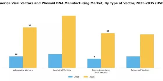 South America Viral Vectors Plasmid DNA Manufacturing Market Segment Image 4