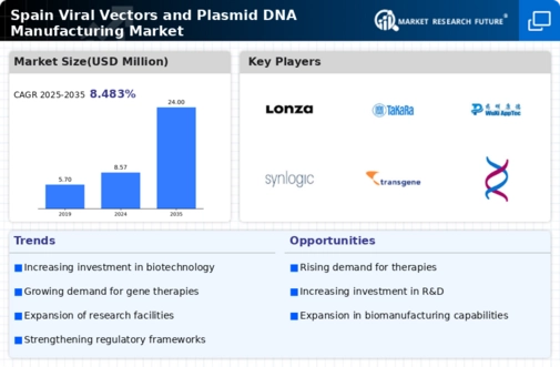 Spain Viral Vectors Plasmid DNA Manufacturing Market Infographic