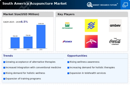 South America Acupuncture Market Infographic