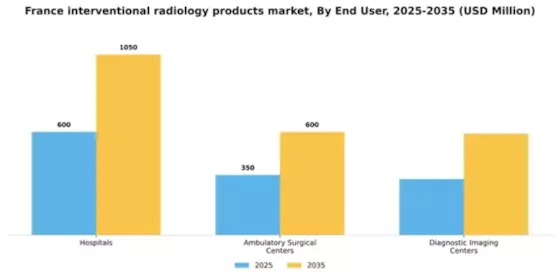 France Interventional Radiology Products Market Segment Image 1
