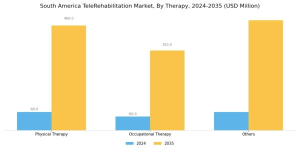South America Telerehabilitation Market Segment Image 2