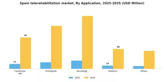 Spain Telerehabilitation Market Segment Image 0