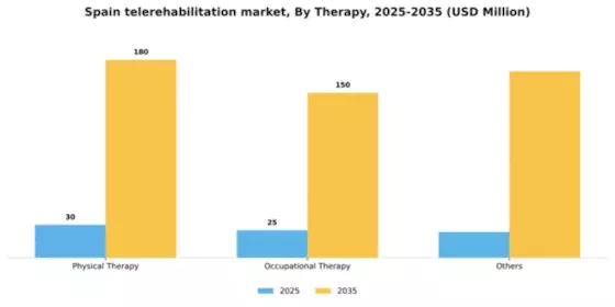 Spain Telerehabilitation Market Segment Image 3