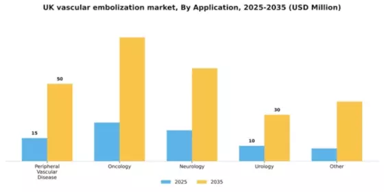 UK Vascular Embolization Market Segment Image 0