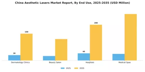China Aesthetic Lasers Market Segment Image 1