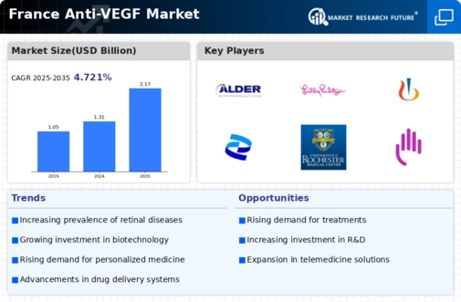 France Anti VEGF Market Infographic