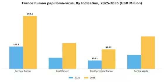 France Human Papilloma Virus Market Segment Image 2