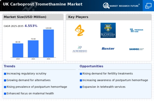 UK Carboprost Tromethamine Market Infographic