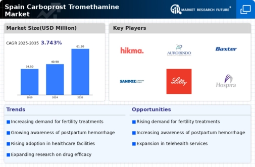 Spain Carboprost Tromethamine Market Infographic