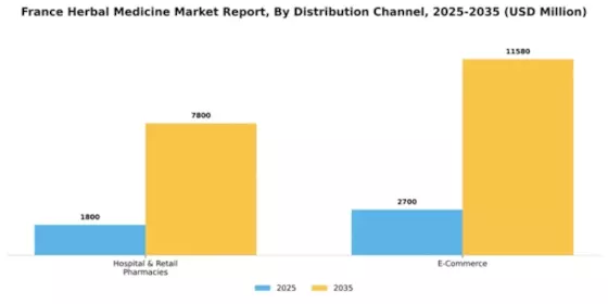 France Herbal Medicine Market Segment Image 1