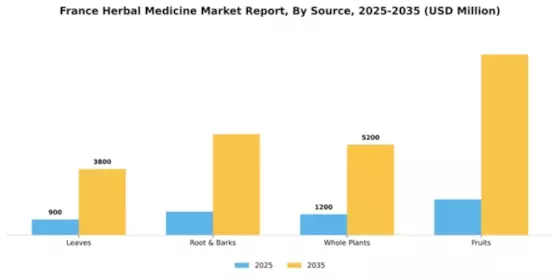 France Herbal Medicine Market Segment Image 3