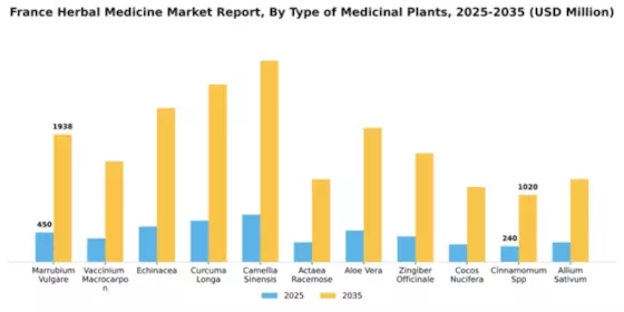 France Herbal Medicine Market Segment Image 4