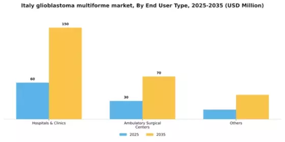 Italy Glioblastoma Multiforme Market Segment Image 0
