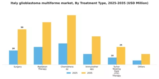 Italy Glioblastoma Multiforme Market Segment Image 1