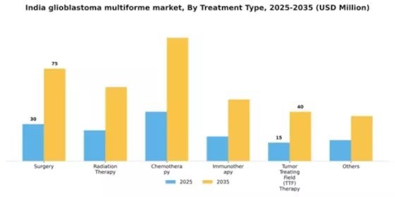 India Glioblastoma Multiforme Market Segment Image 1
