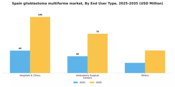 Spain Glioblastoma Multiforme Market Segment Image 0