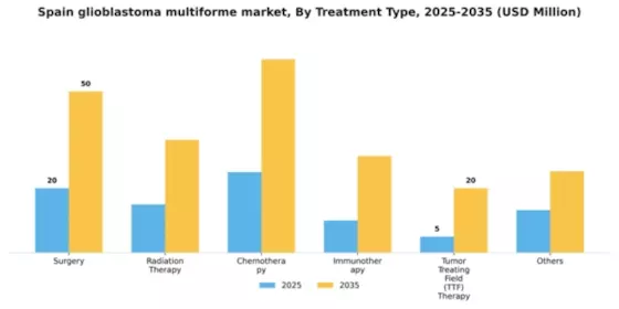 Spain Glioblastoma Multiforme Market Segment Image 1